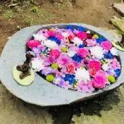 ここの画像