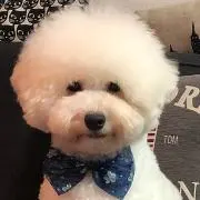 あこ