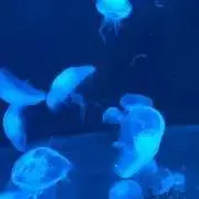 断捨離中☆の画像