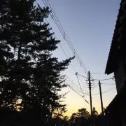 mk709の画像