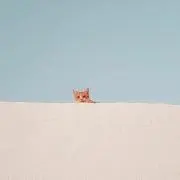 エムの画像