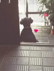パステルカラー