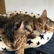 Junの画像