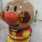 楓の画像