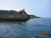 ミャー夏の画像
