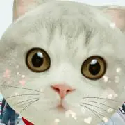 アメリ