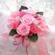 Rose club . 33