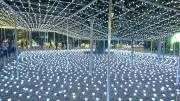 カズベアー