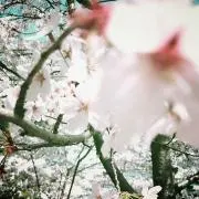 なぁmama