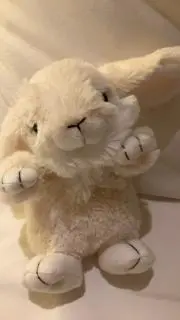 Hoの画像