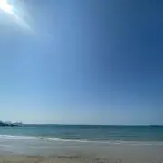 即完売】THERMAL SHIRT NAVY FEELS. - メルカリ