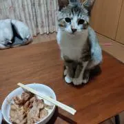 yukisukeの画像