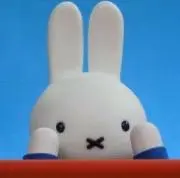 らいの画像