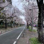 ふじさんの画像