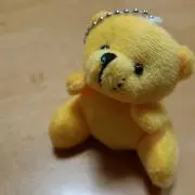 toraの画像