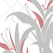 再音。(グッズ整理中)の画像