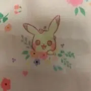 ぴかちゅうの画像