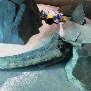 なーの画像