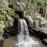 輝