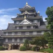 ぽんの画像