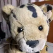 ひまりの画像