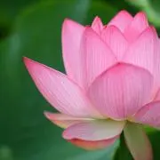 まーの画像
