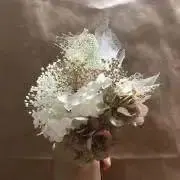 かすみ草の画像