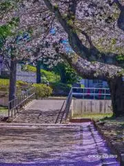 ハーハーの画像