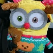 コロちゃんの画像