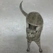 うに