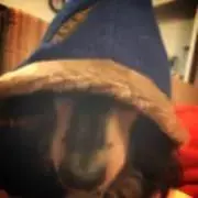 ほち