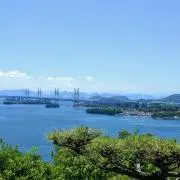 ケチャちゃんの画像