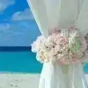 みんとの画像