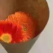 さどの画像