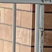 にんにく