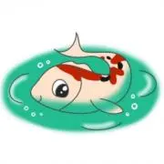 きんちゃんの画像