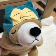 yamasun