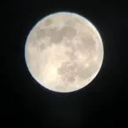 moooonの画像