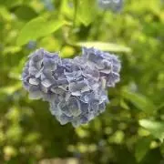 夕陽