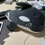 希少 ブルーモリス 侍大獄 167cm - メルカリ