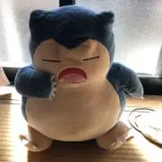 N・Mの画像