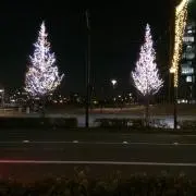 みかりん