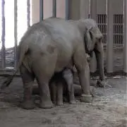 ウチの画像