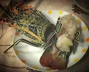 魚天狗