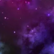 ムスク25.9の画像