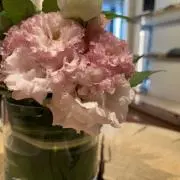らいの画像