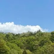 みんと