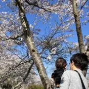 あっつんの画像