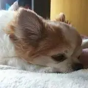 YJ♡プロフ必読