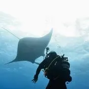 okiraku_diverの画像